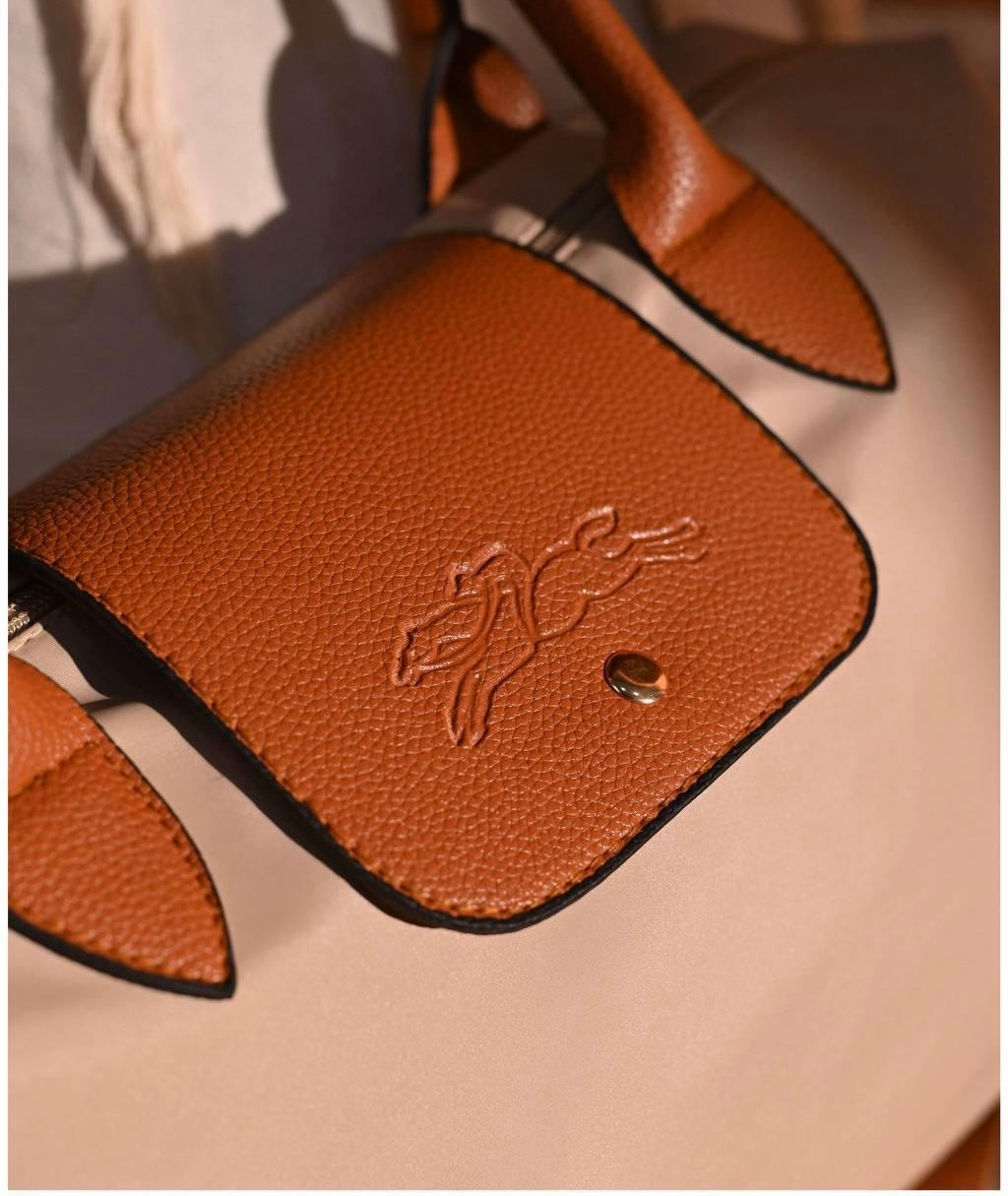 Longchamp Bag