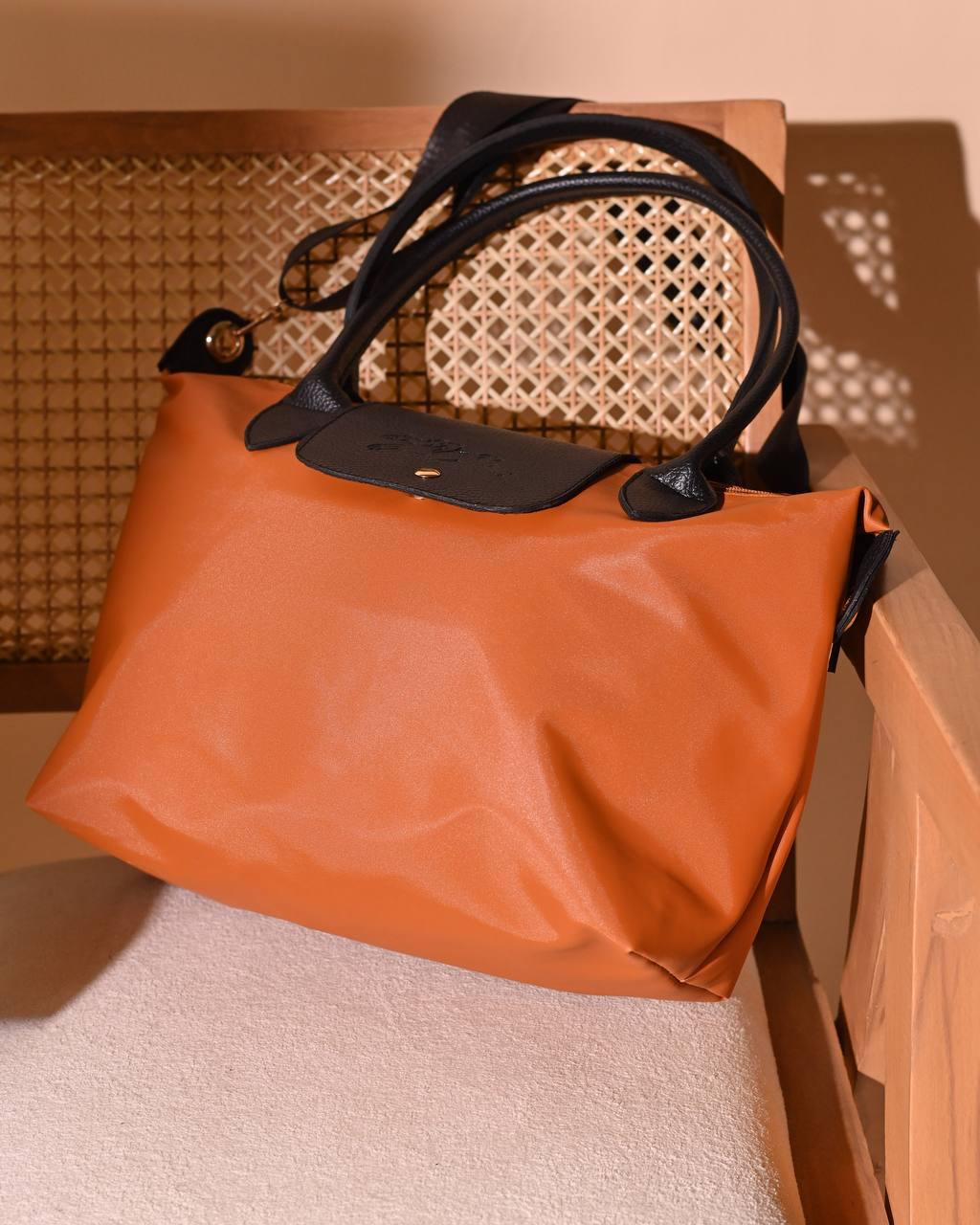 Longchamp Bag