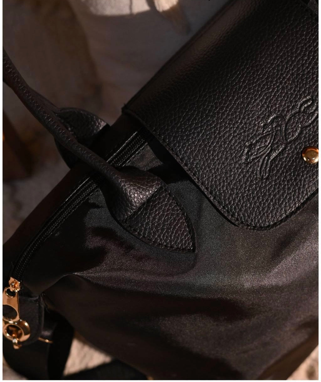 Longchamp Bag