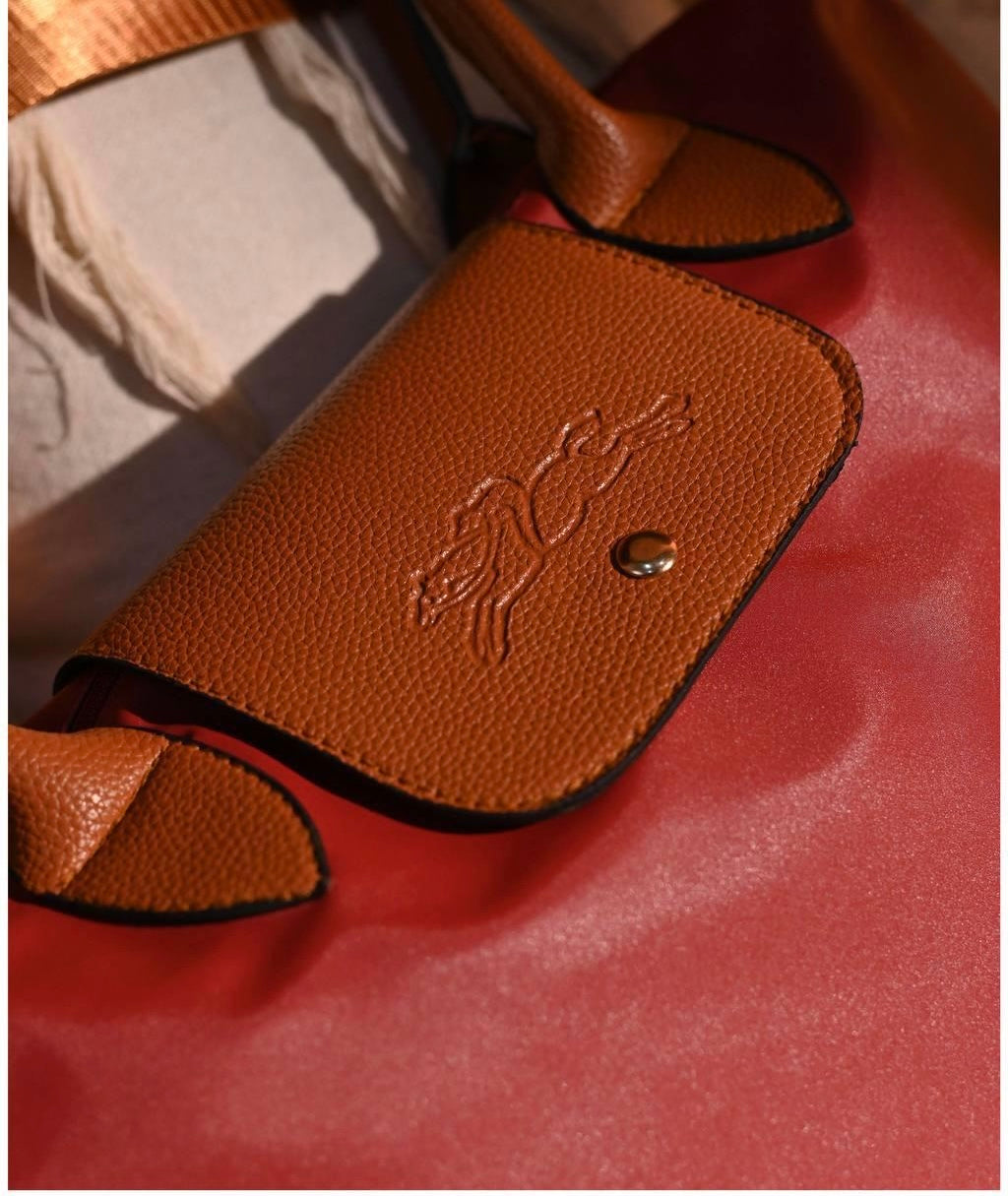 Longchamp Bag