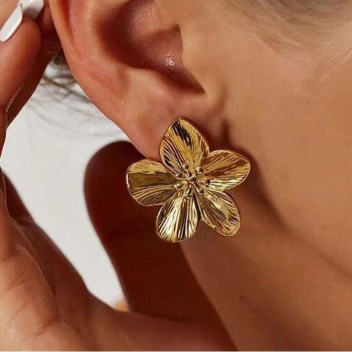 Stainless Earrings