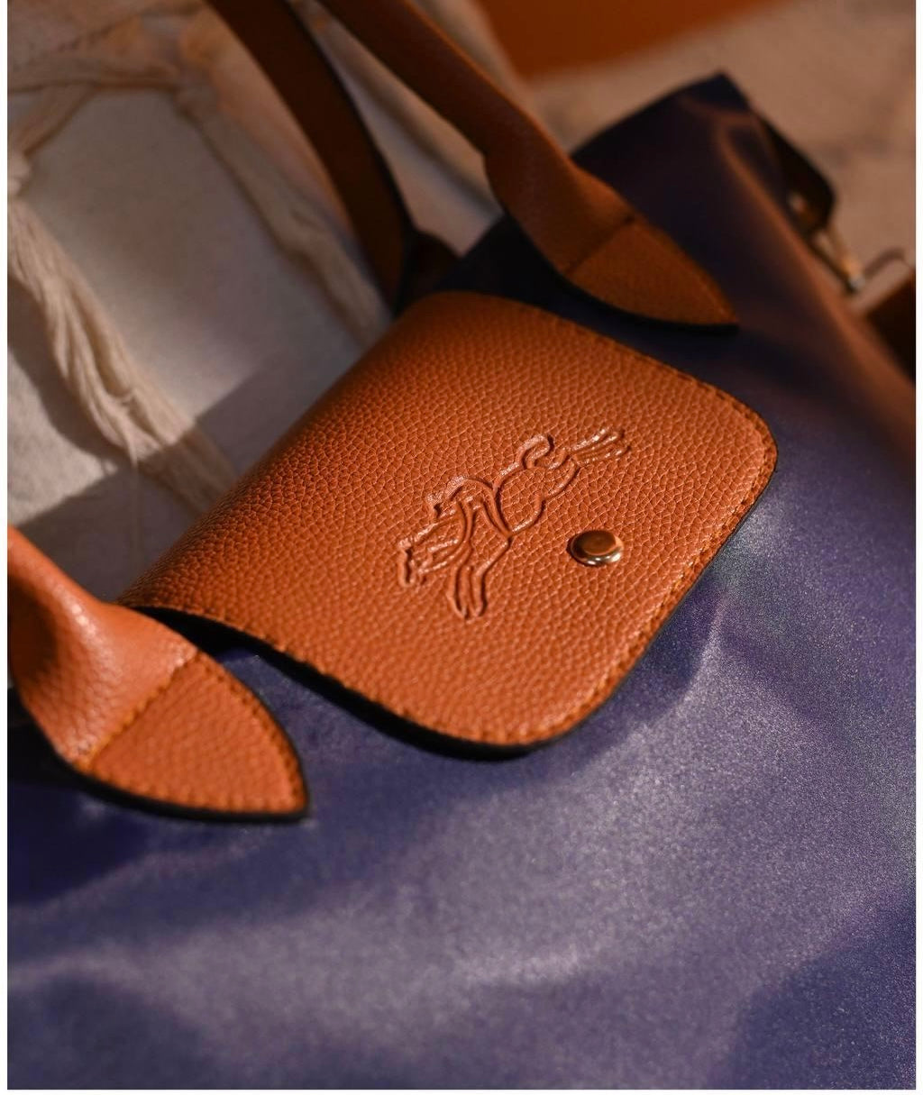Longchamp Bag