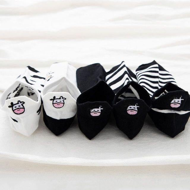 Black & White Cow