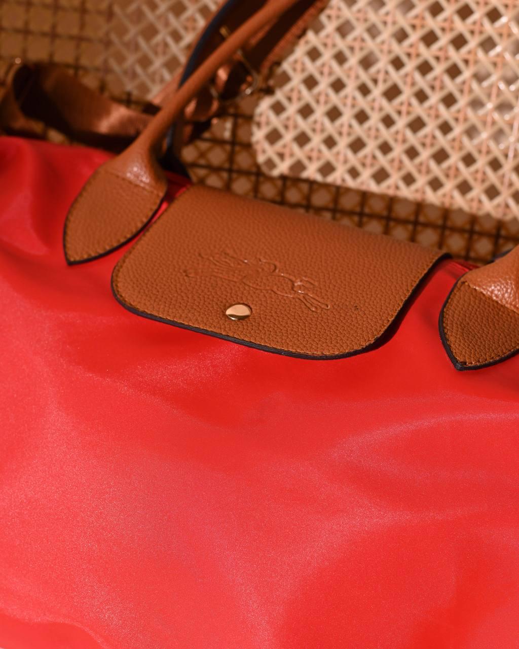 Longchamp Bag