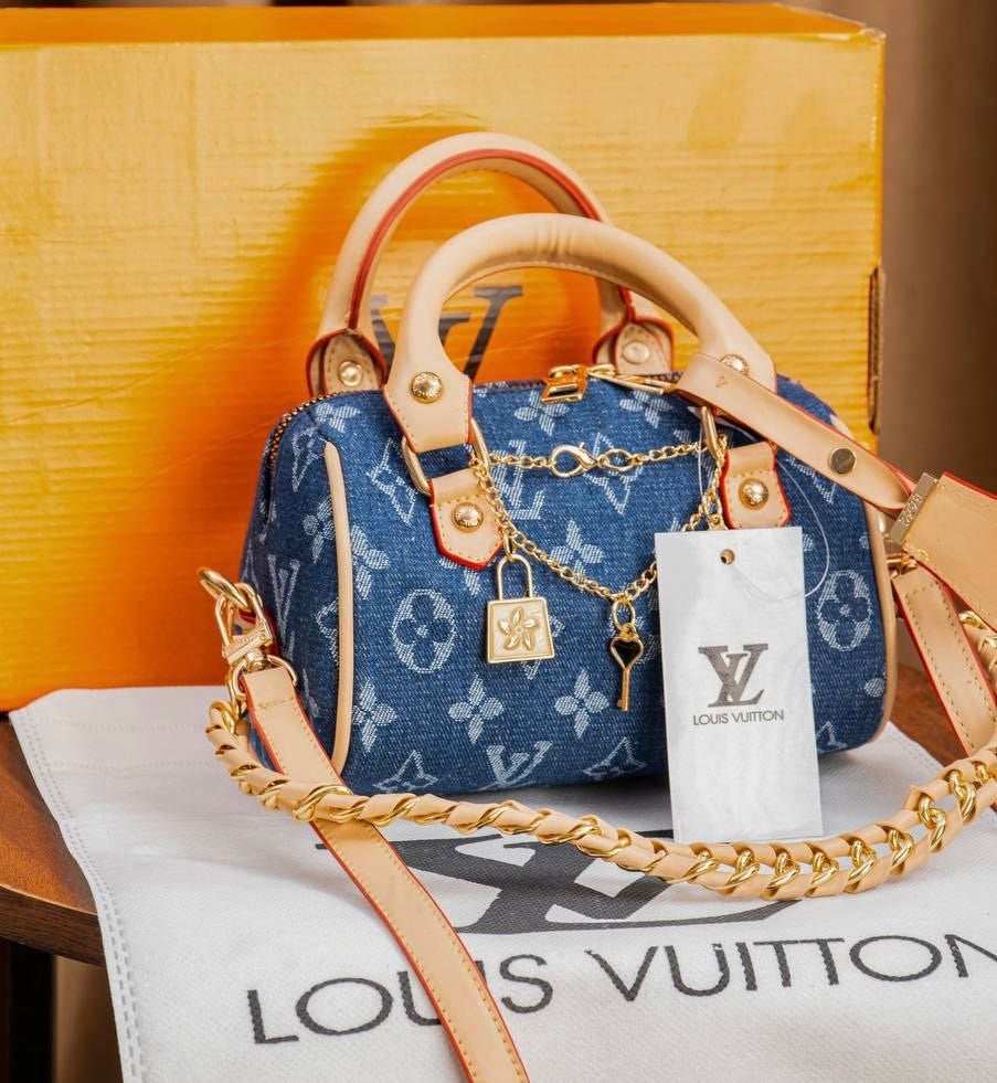 Louis Vuitton Bag