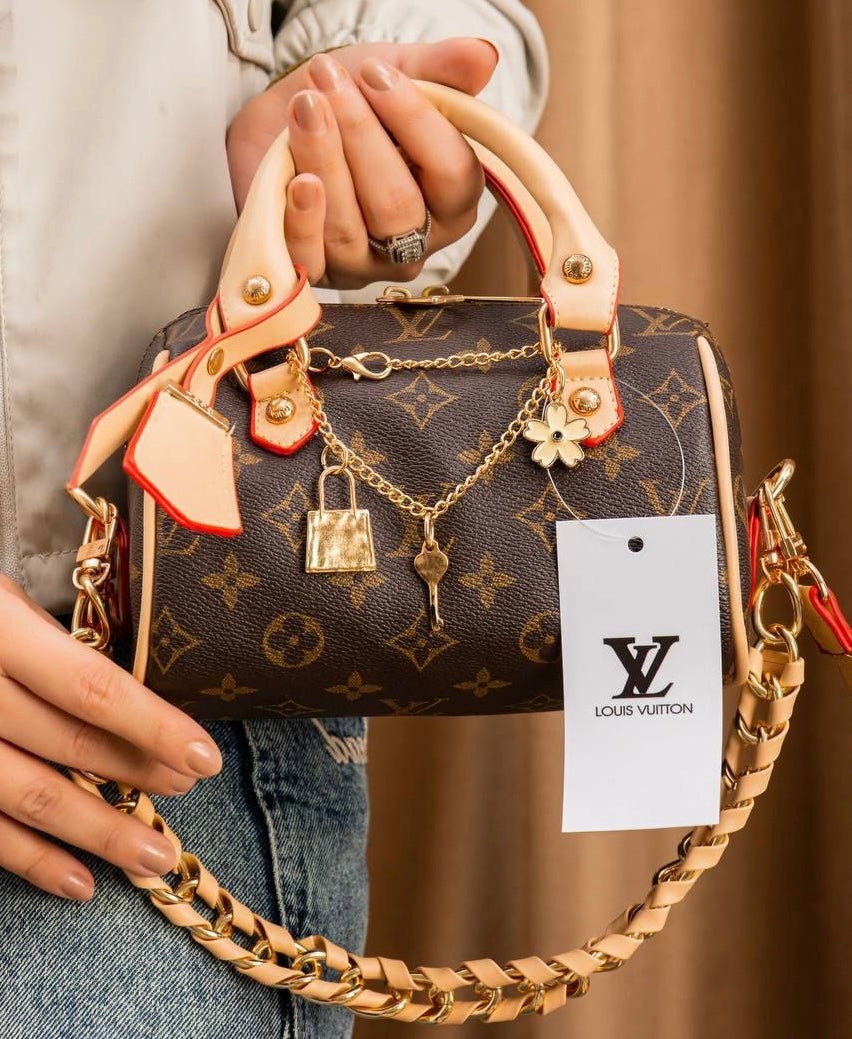 Louis Vuitton Bag