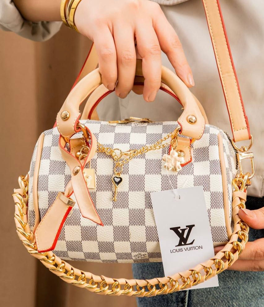 Louis Vuitton Bag