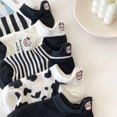 Black & White Cow