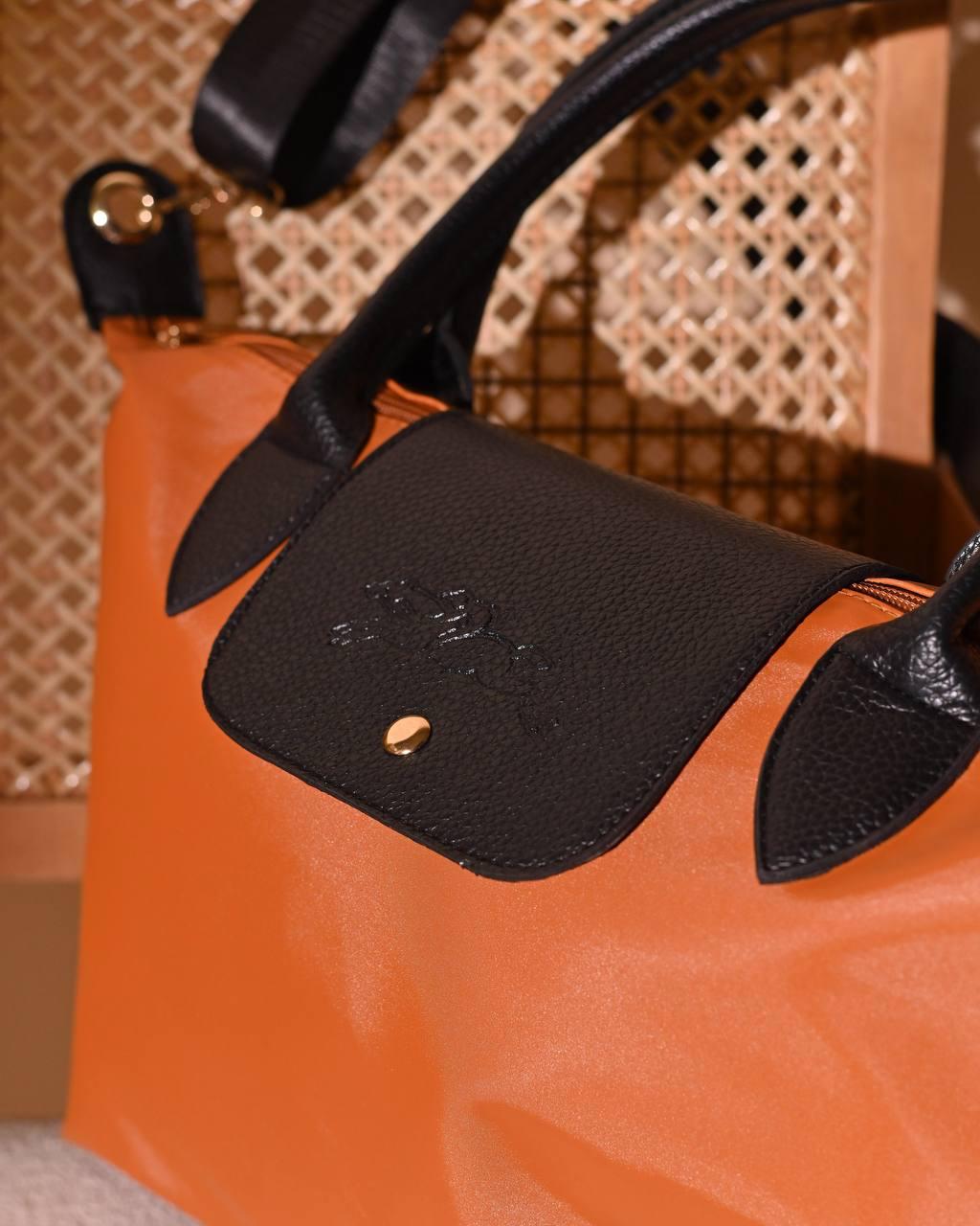 Longchamp Bag